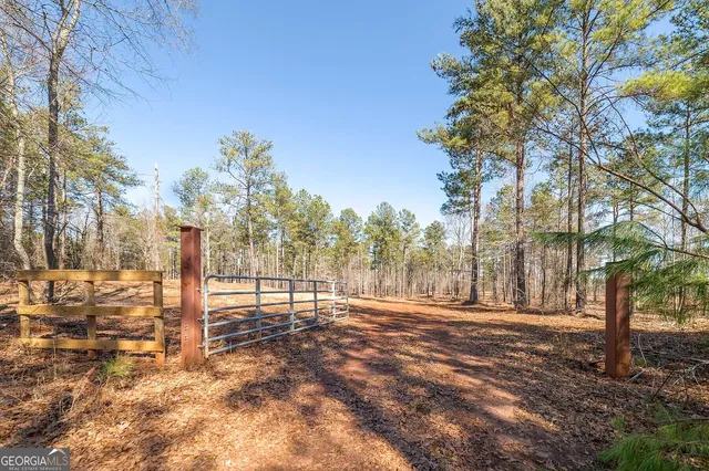 a view of a yard from a balcony