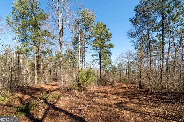 a view of outdoor space with trees