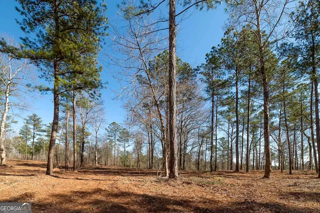 a view of a large mountain with trees in the background