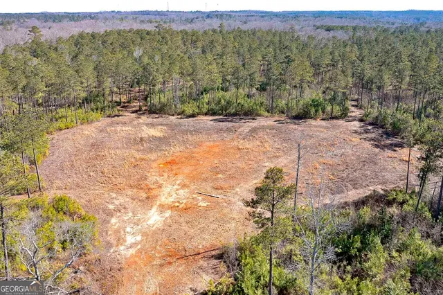 a backyard of a house with lots of plants and large trees