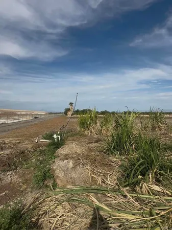 a view of an ocean beach
