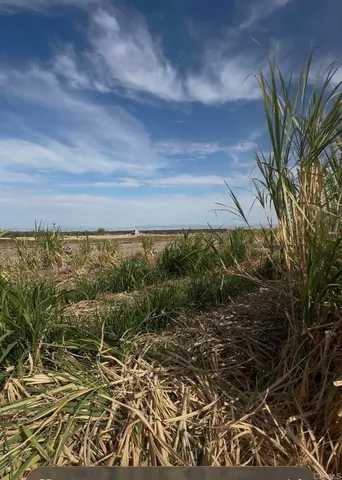 a view of a yard with an ocean view