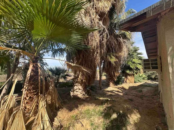 a view of backyard of a house