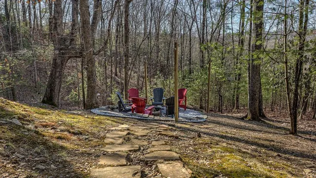 $2,800 | 348 The Forest Has Eyes, Blue Ridge, GA 30513