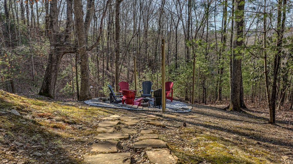 348 The Forest Has Eyes Blue Ridge, GA 30513 - Photo 24 of 49