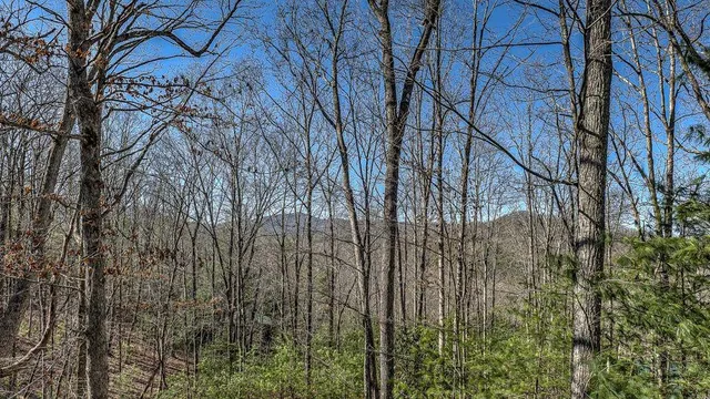 $2,800 | 348 The Forest Has Eyes, Blue Ridge, GA 30513