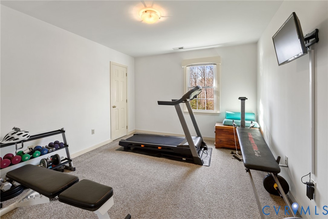 1530 Greenberry Road Powhatan, VA 23139 - Photo 28 of 49 a view of a room with gym equipment