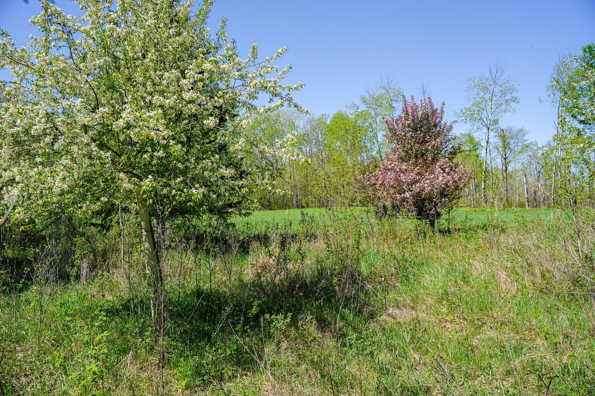 Tbd 140 Street Frazee, MN 56544 - Photo 45 of 149