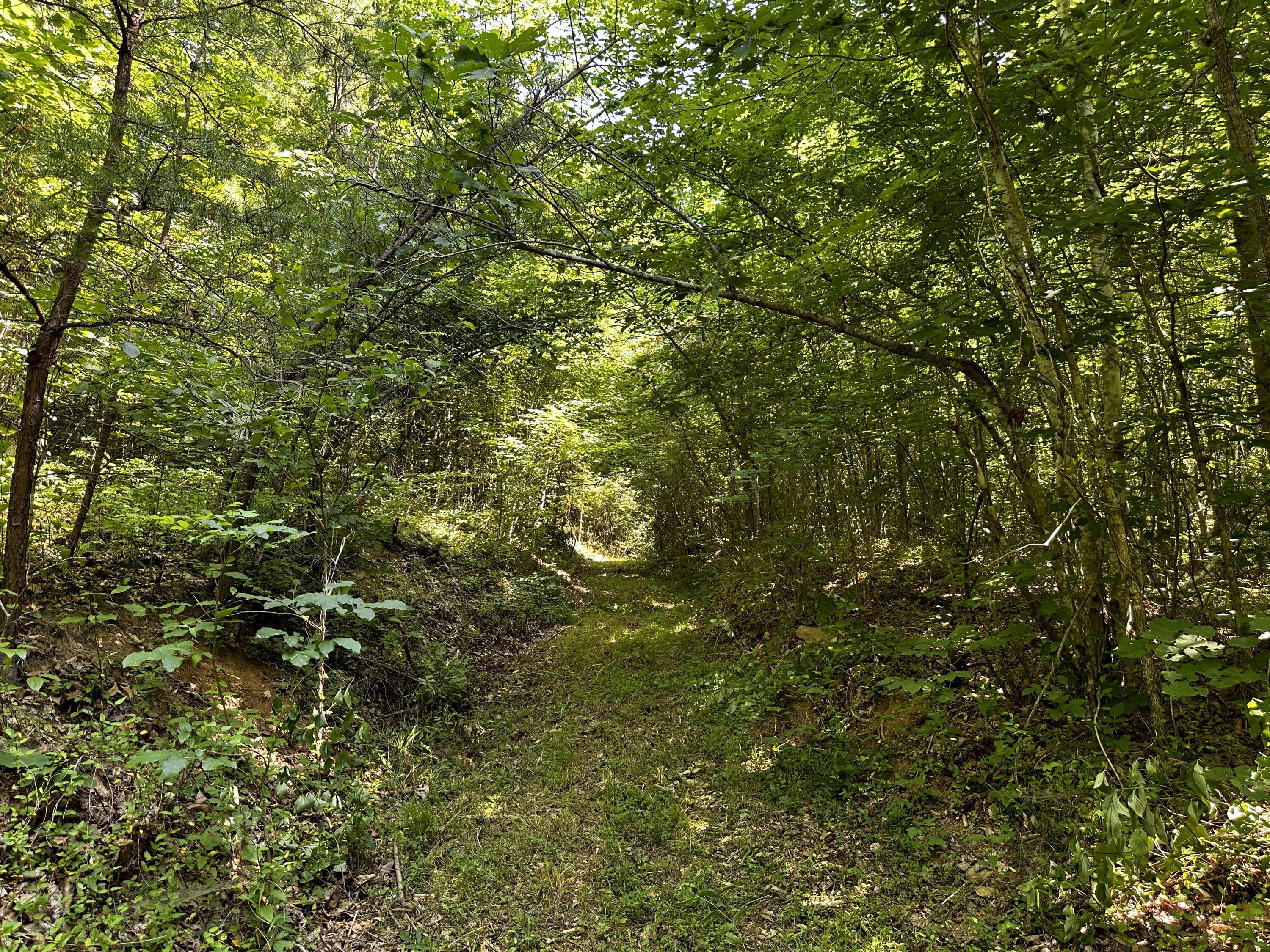 1101 Hull Road, Unit TRACT 9 WOODS WAYNE FOREST) Patriot, OH 45658 - Photo 23 of 61 20240621_145422772_iOS