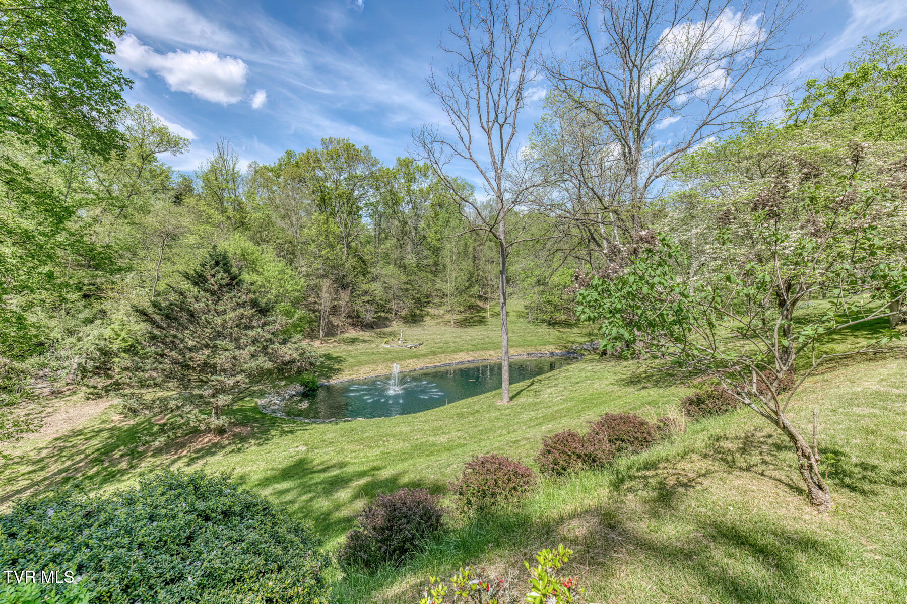255 Willmary Road Piney Flats, TN 37686 - Photo 102 of 161 255 Willmary Rd-185