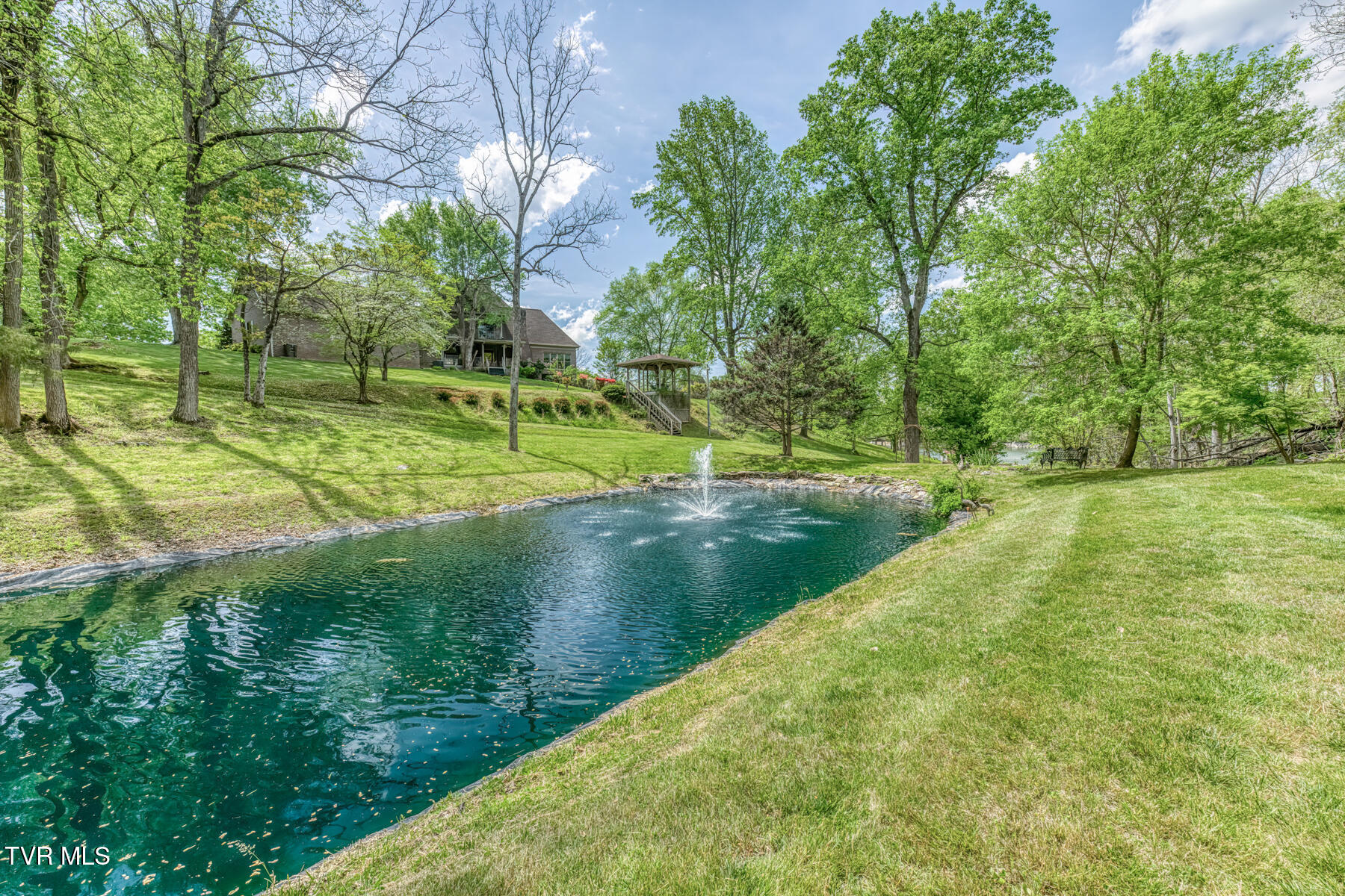 255 Willmary Road Piney Flats, TN 37686 - Photo 106 of 161 255 Willmary Rd-189