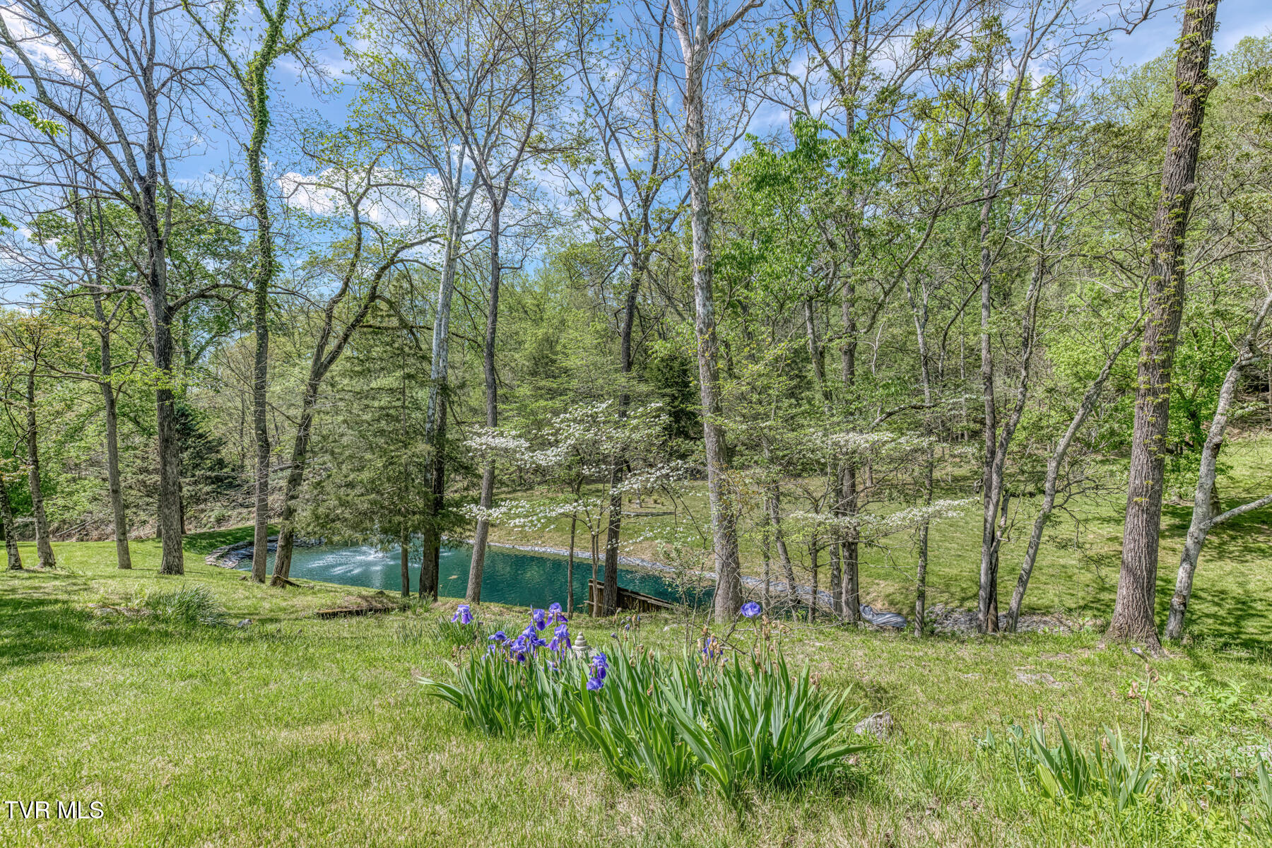 255 Willmary Road Piney Flats, TN 37686 - Photo 137 of 161 255 Willmary Rd-233