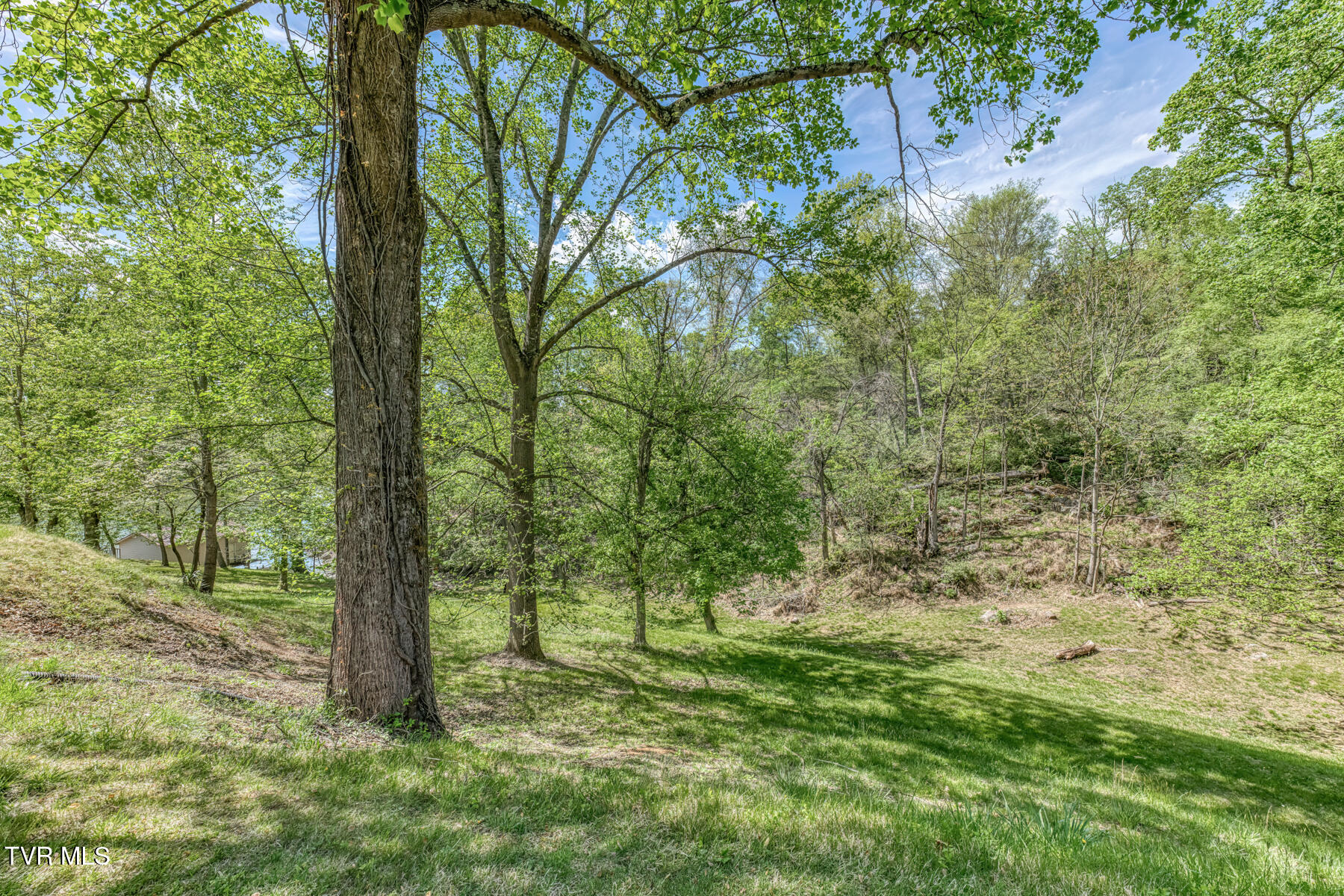 255 Willmary Road Piney Flats, TN 37686 - Photo 138 of 161 255 Willmary Rd-234