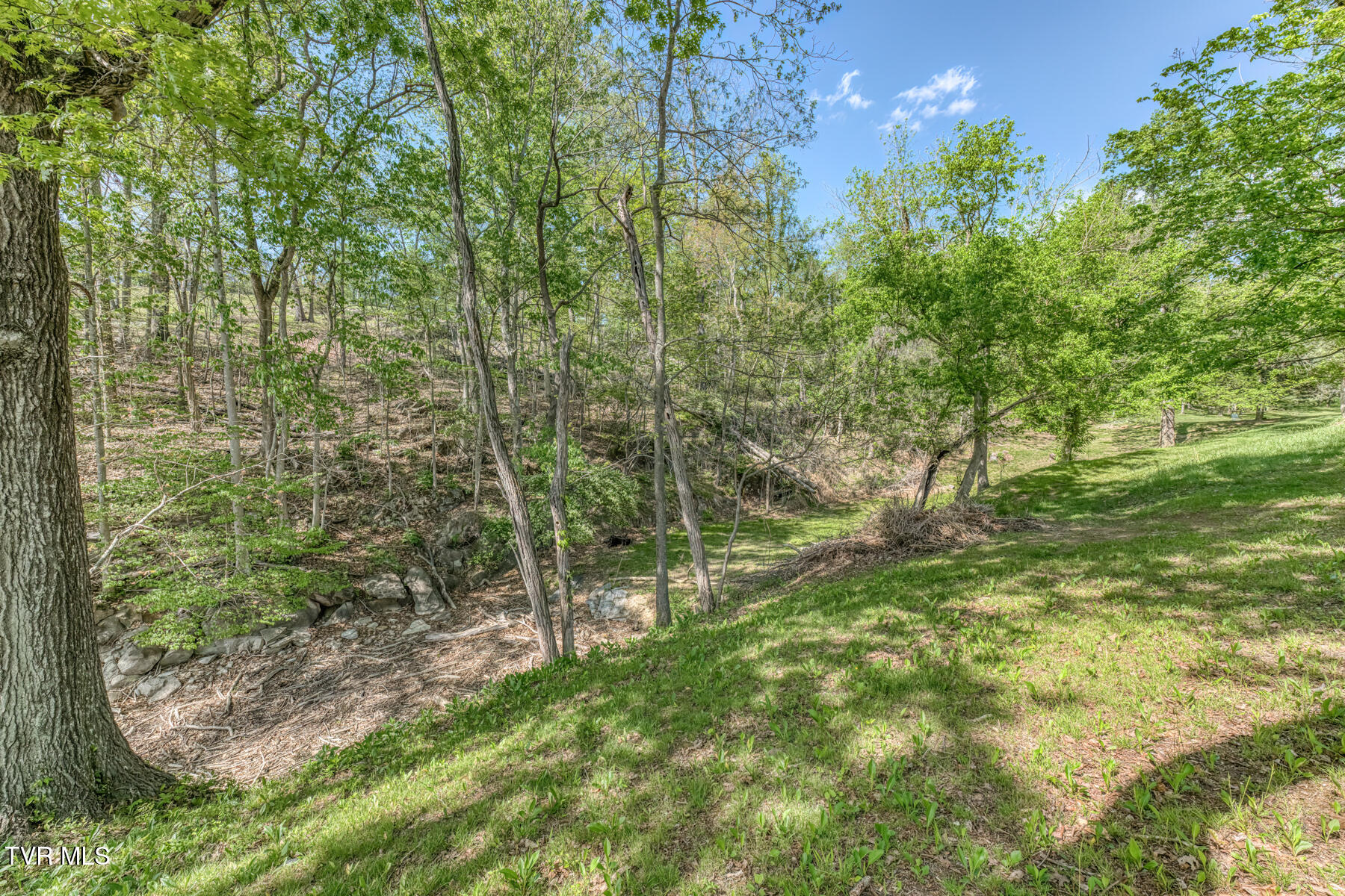 255 Willmary Road Piney Flats, TN 37686 - Photo 139 of 161 255 Willmary Rd-235