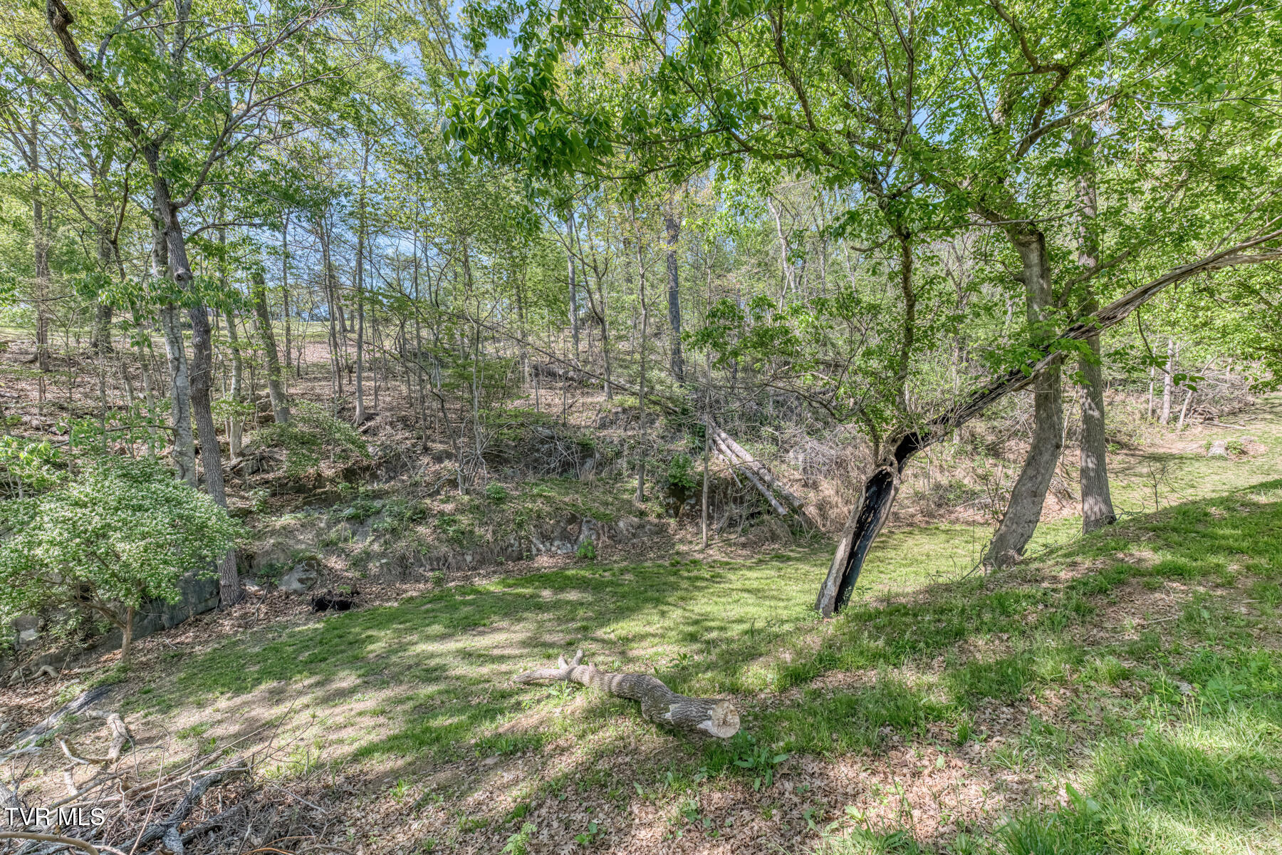 255 Willmary Road Piney Flats, TN 37686 - Photo 140 of 161 255 Willmary Rd-236