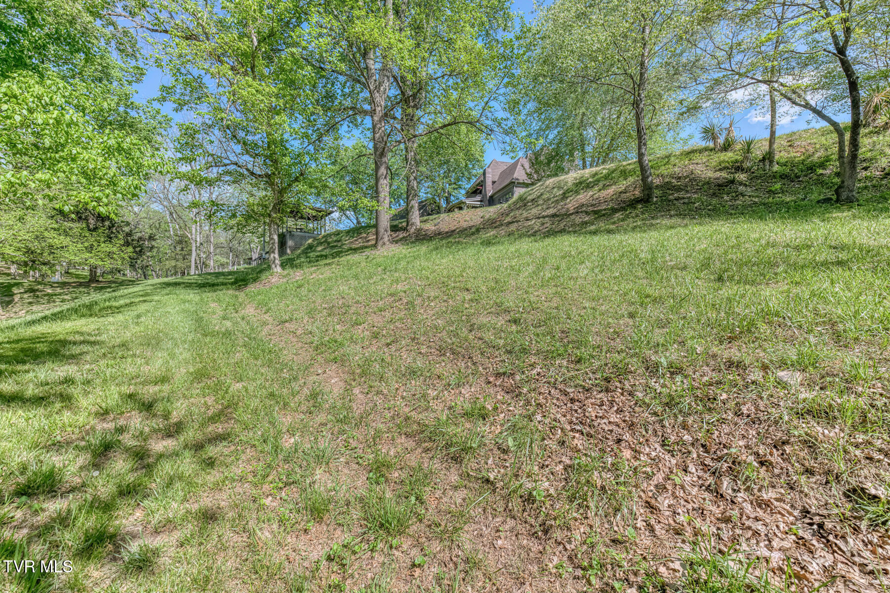 255 Willmary Road Piney Flats, TN 37686 - Photo 141 of 161 255 Willmary Rd-237