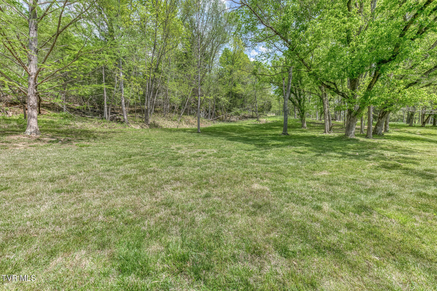 255 Willmary Road Piney Flats, TN 37686 - Photo 143 of 161 255 Willmary Rd-246