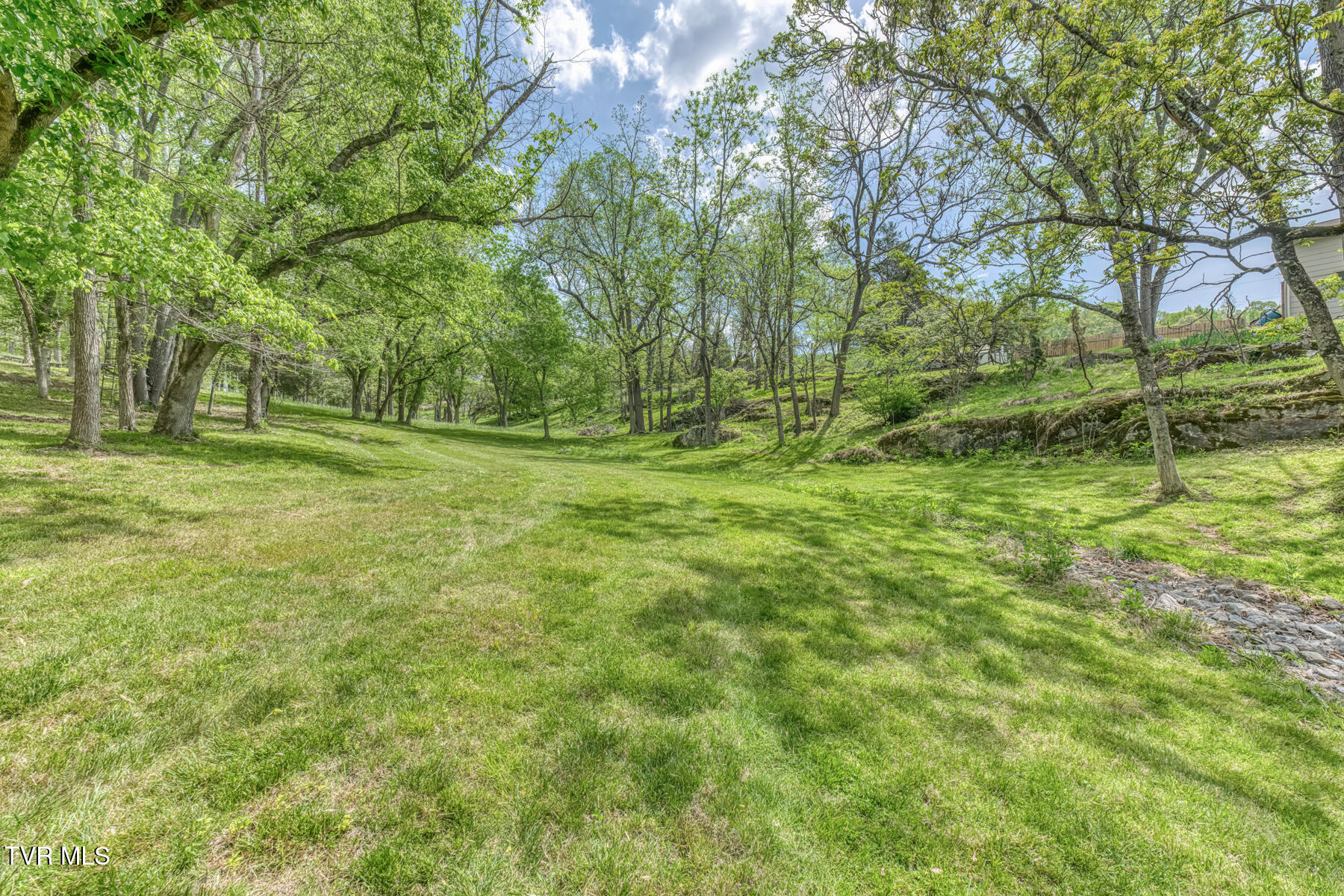 255 Willmary Road Piney Flats, TN 37686 - Photo 144 of 161 255 Willmary Rd-247