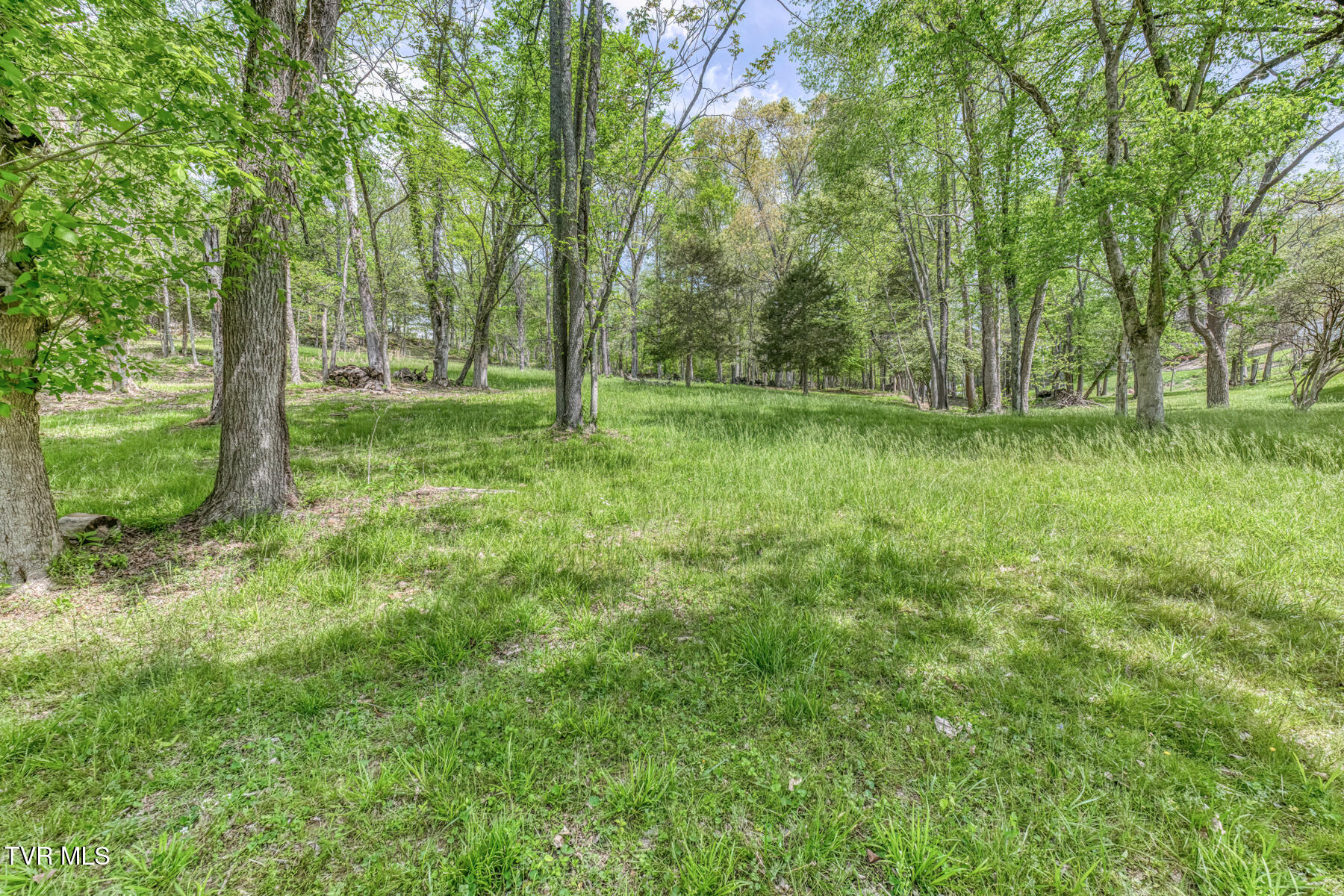 255 Willmary Road Piney Flats, TN 37686 - Photo 145 of 161 255 Willmary Rd-248