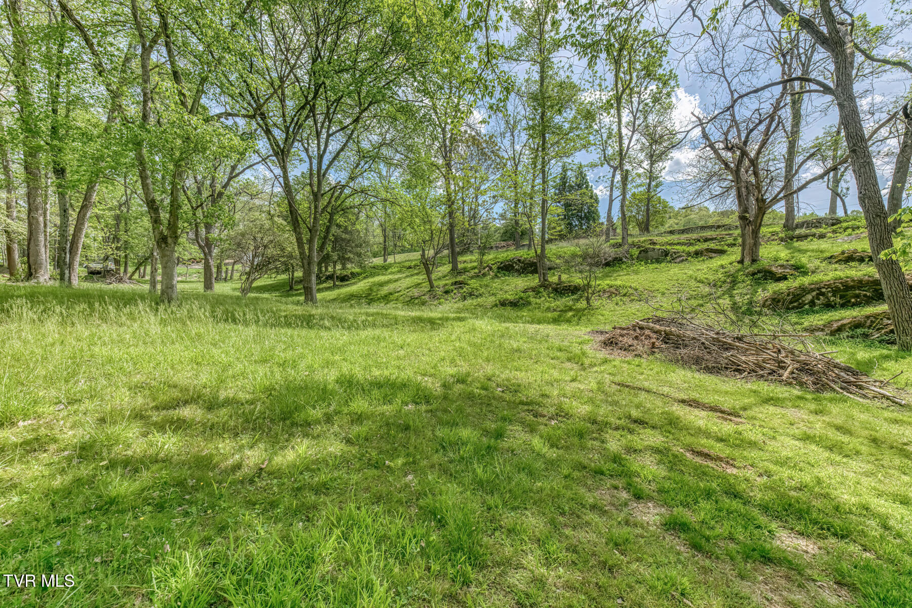 255 Willmary Road Piney Flats, TN 37686 - Photo 146 of 161 255 Willmary Rd-249