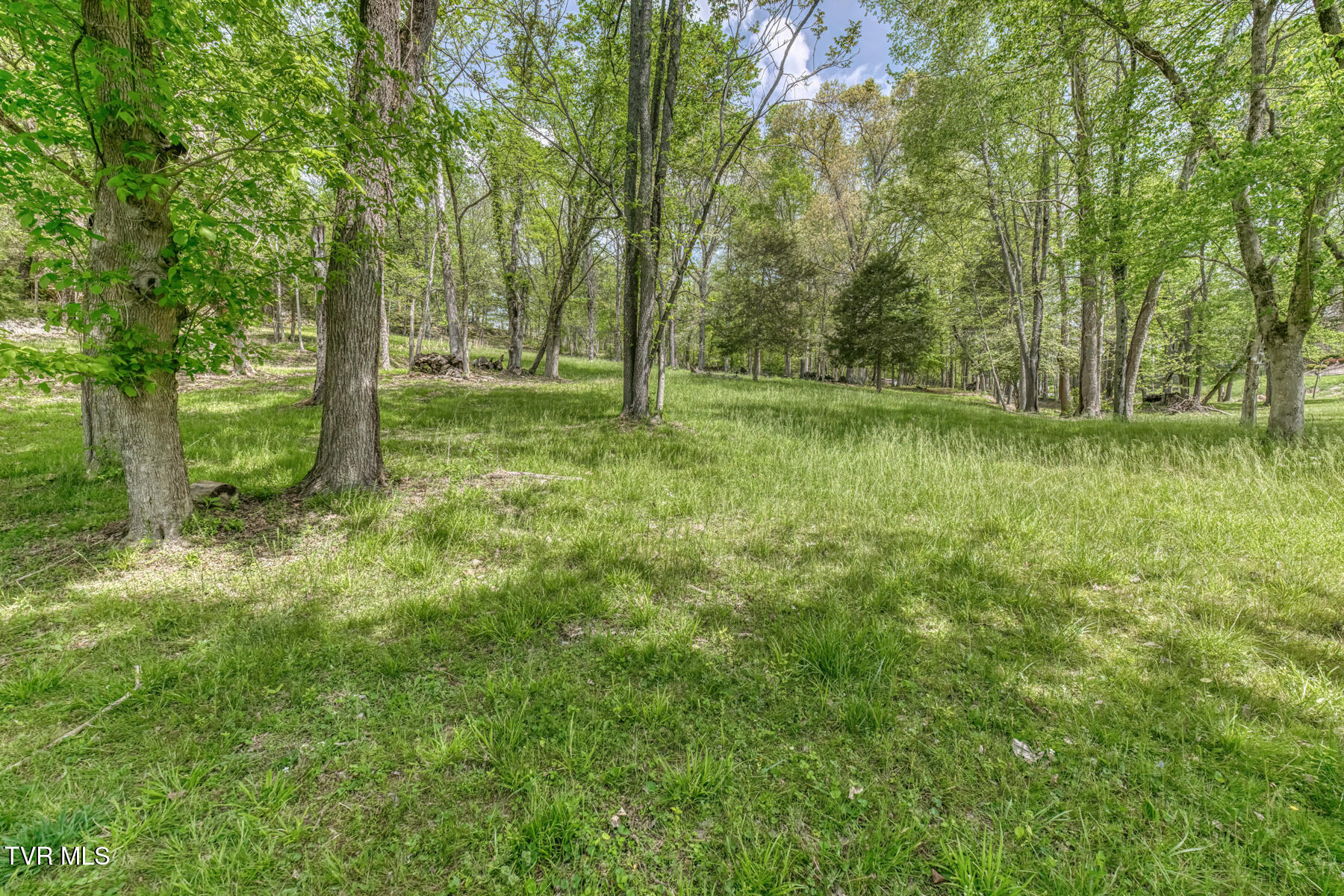 255 Willmary Road Piney Flats, TN 37686 - Photo 147 of 161 255 Willmary Rd-250