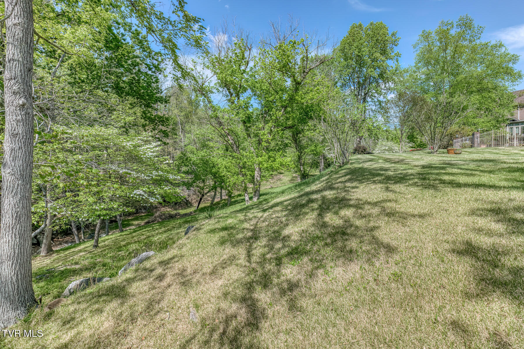 255 Willmary Road Piney Flats, TN 37686 - Photo 85 of 161 255 Willmary Rd-167
