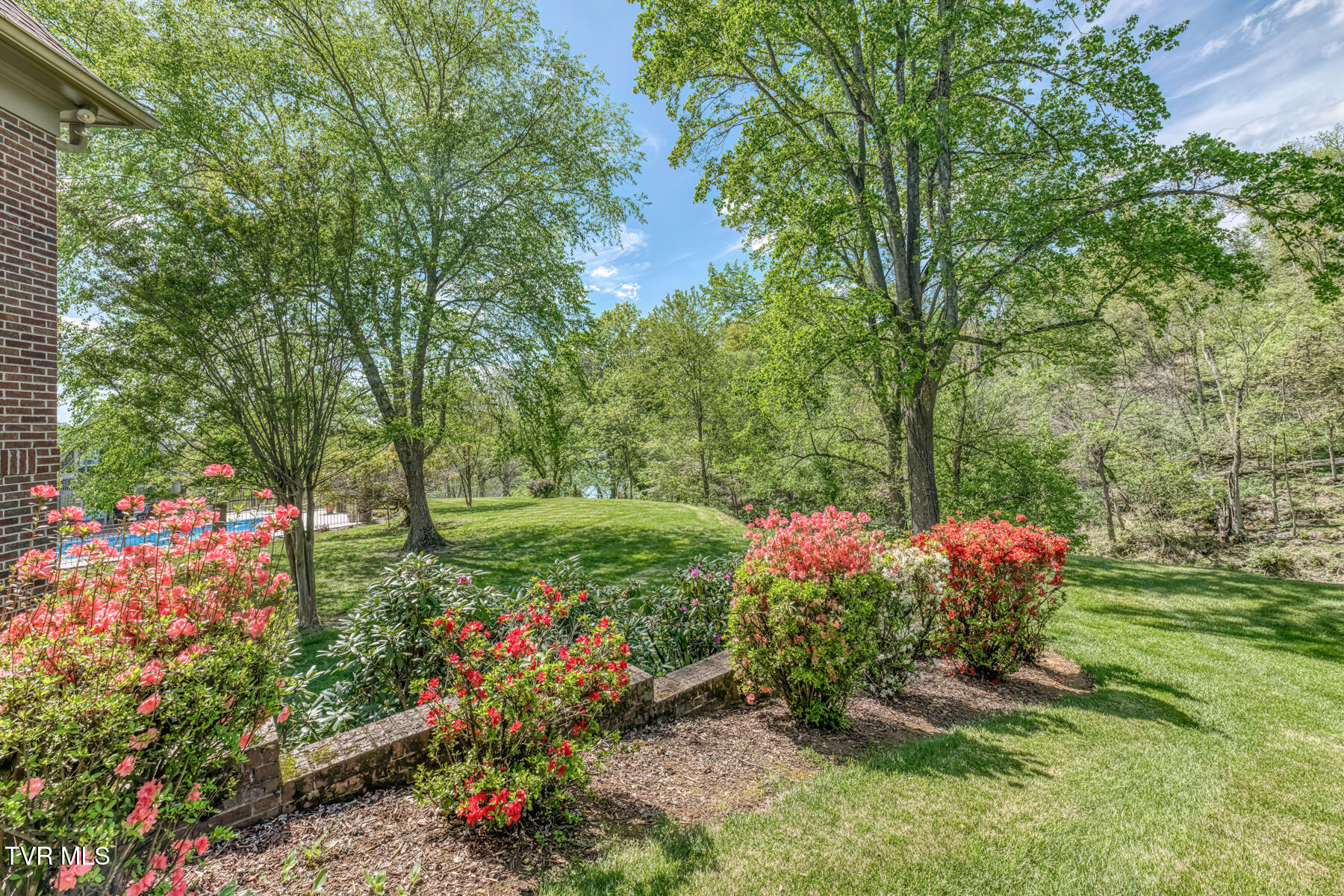 255 Willmary Road Piney Flats, TN 37686 - Photo 97 of 161 255 Willmary Rd-179
