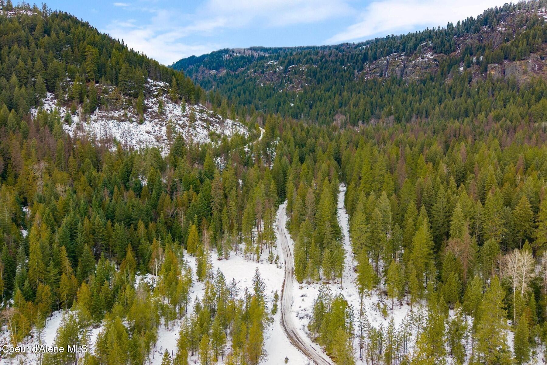 Parcel B Berry Canyon Road Sandpoint, ID 83864 - Photo 11 of 14 Year round access to nature