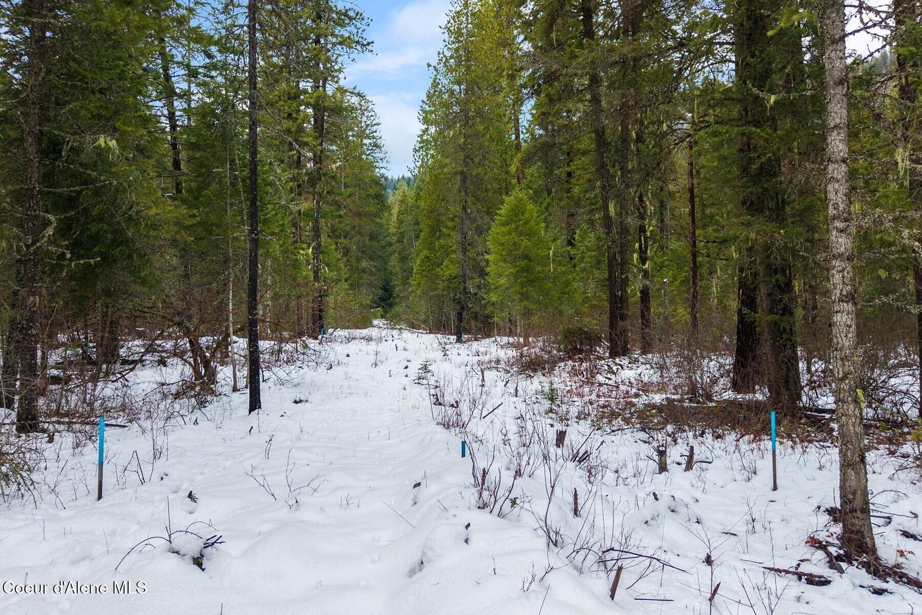 Parcel B Berry Canyon Road Sandpoint, ID 83864 - Photo 12 of 14 Easy Hiking trail