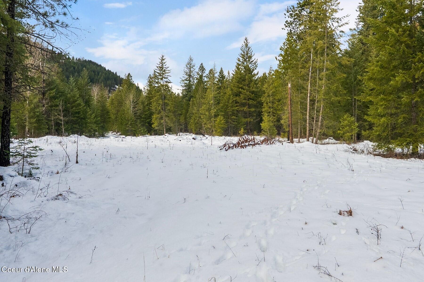 Parcel B Berry Canyon Road Sandpoint, ID 83864 - Photo 13 of 14 Plenty of flat usable ground