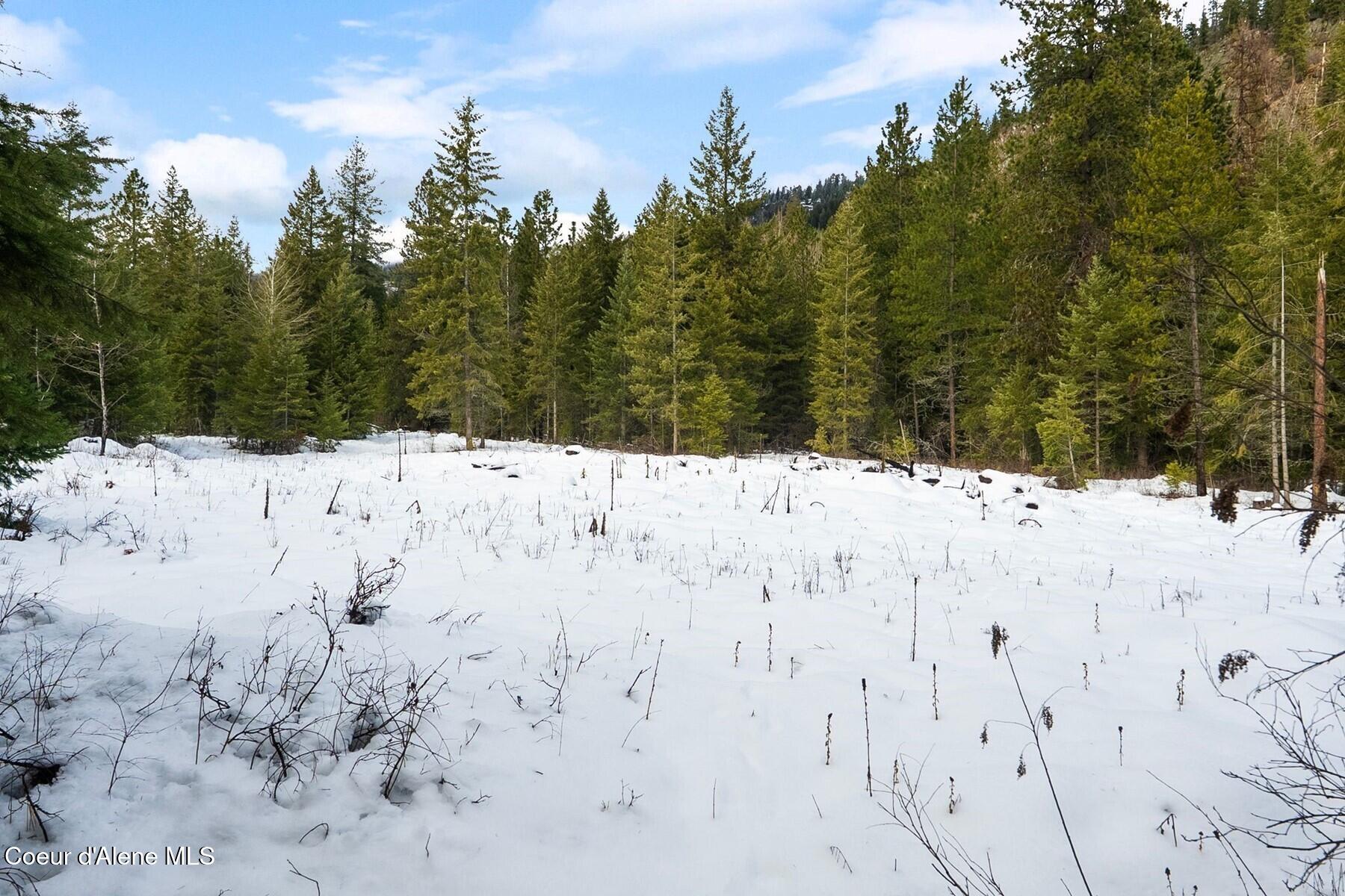 Parcel B Berry Canyon Road Sandpoint, ID 83864 - Photo 9 of 14 Natural building site near creek