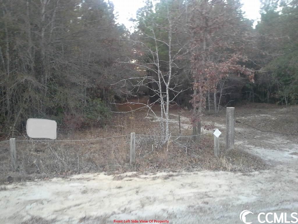 Northeast M W Stroud Road Nichols, SC 29581 - Photo 7 of 8 Gallery Image 7