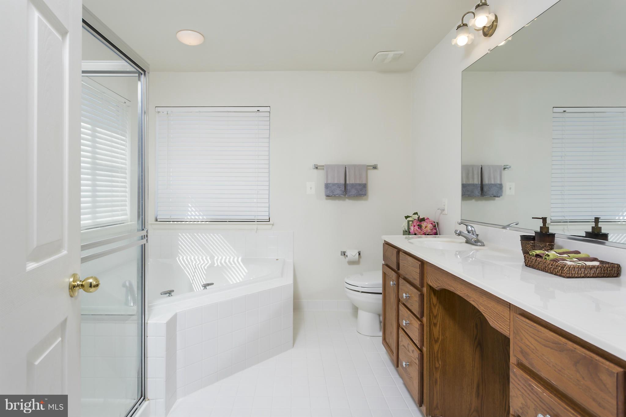 8014 High Castle Road Ellicott City, MD 21043 - Photo 21 of 30 Bath (Master)