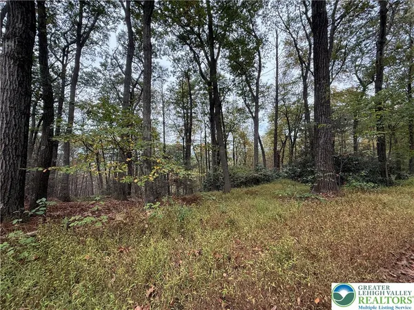 a view of backyard with green space