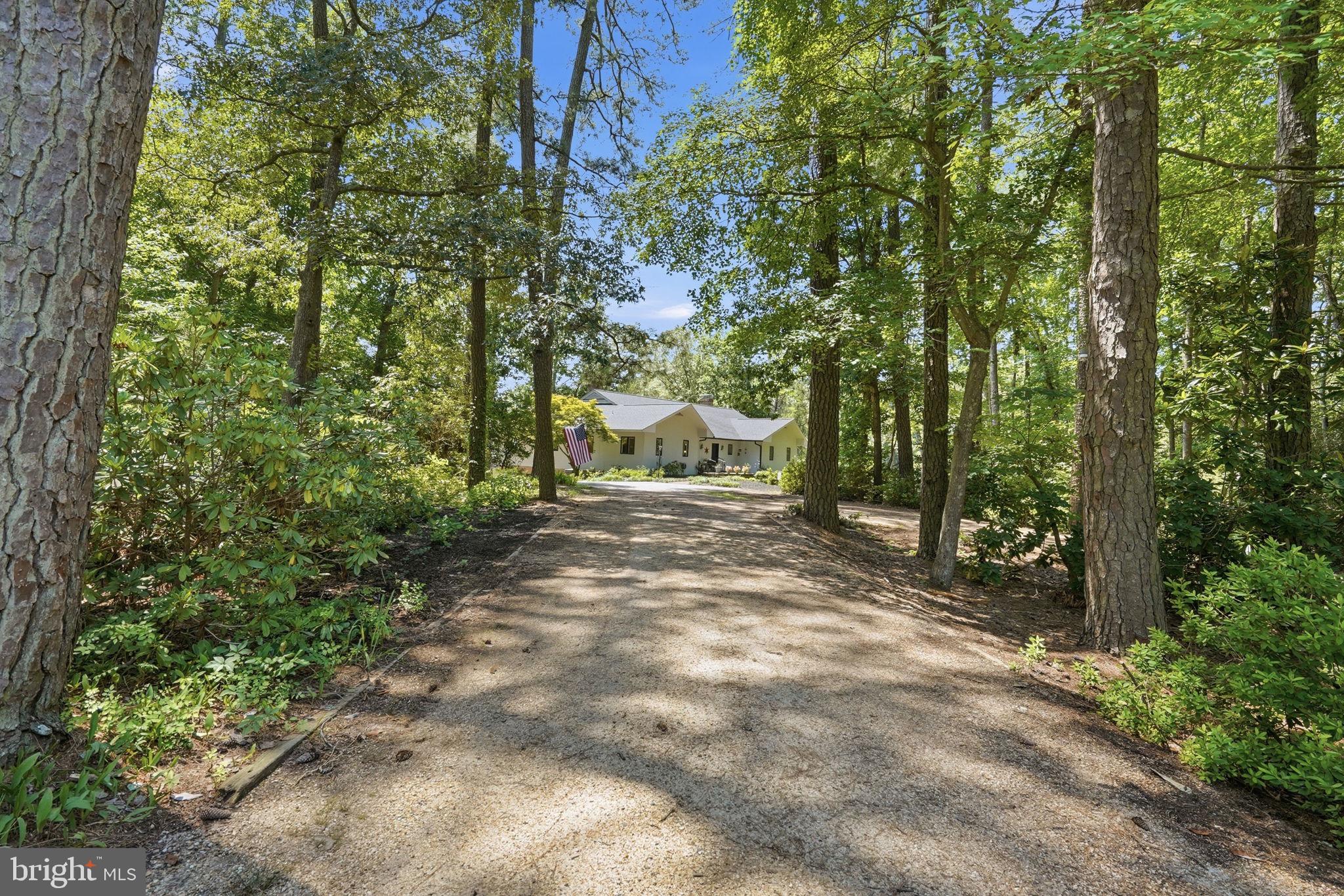 750 Levelgreen Road Lancaster, VA 22503 - Photo 100 of 107 Lovely tree lined drive!