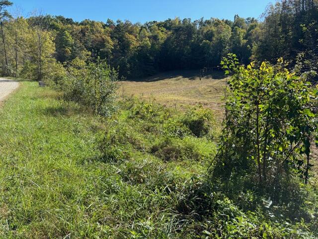 1 Mayers Road Booneville, KY 41314 - Photo 3 of 13 2