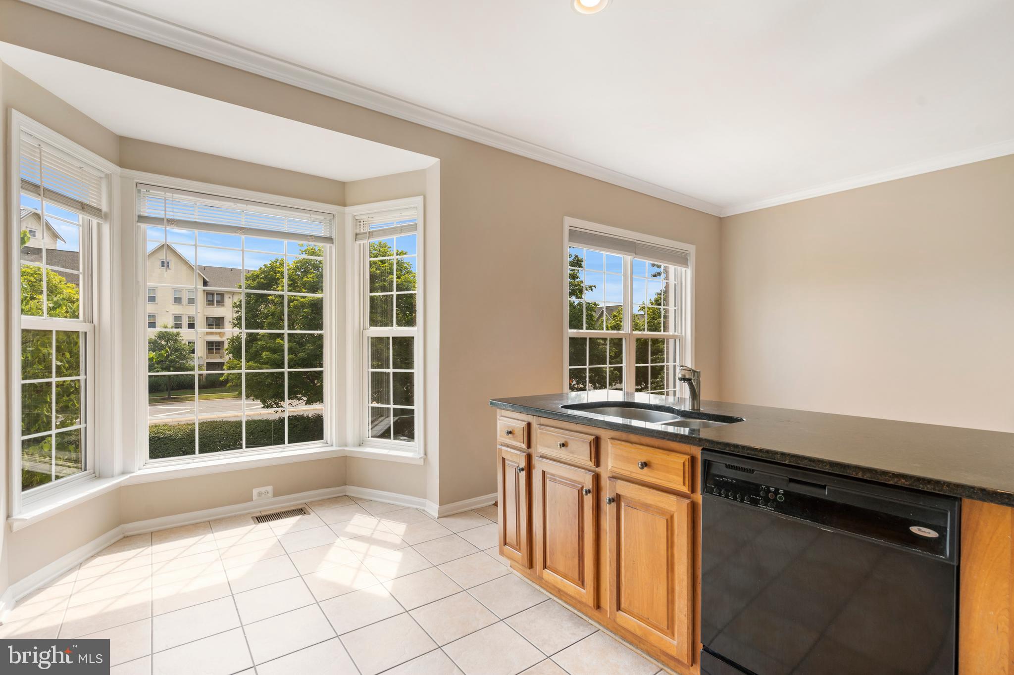 22466 Maison Carree Square Ashburn, VA 20148 - Photo 11 of 42 Kitchen View#4