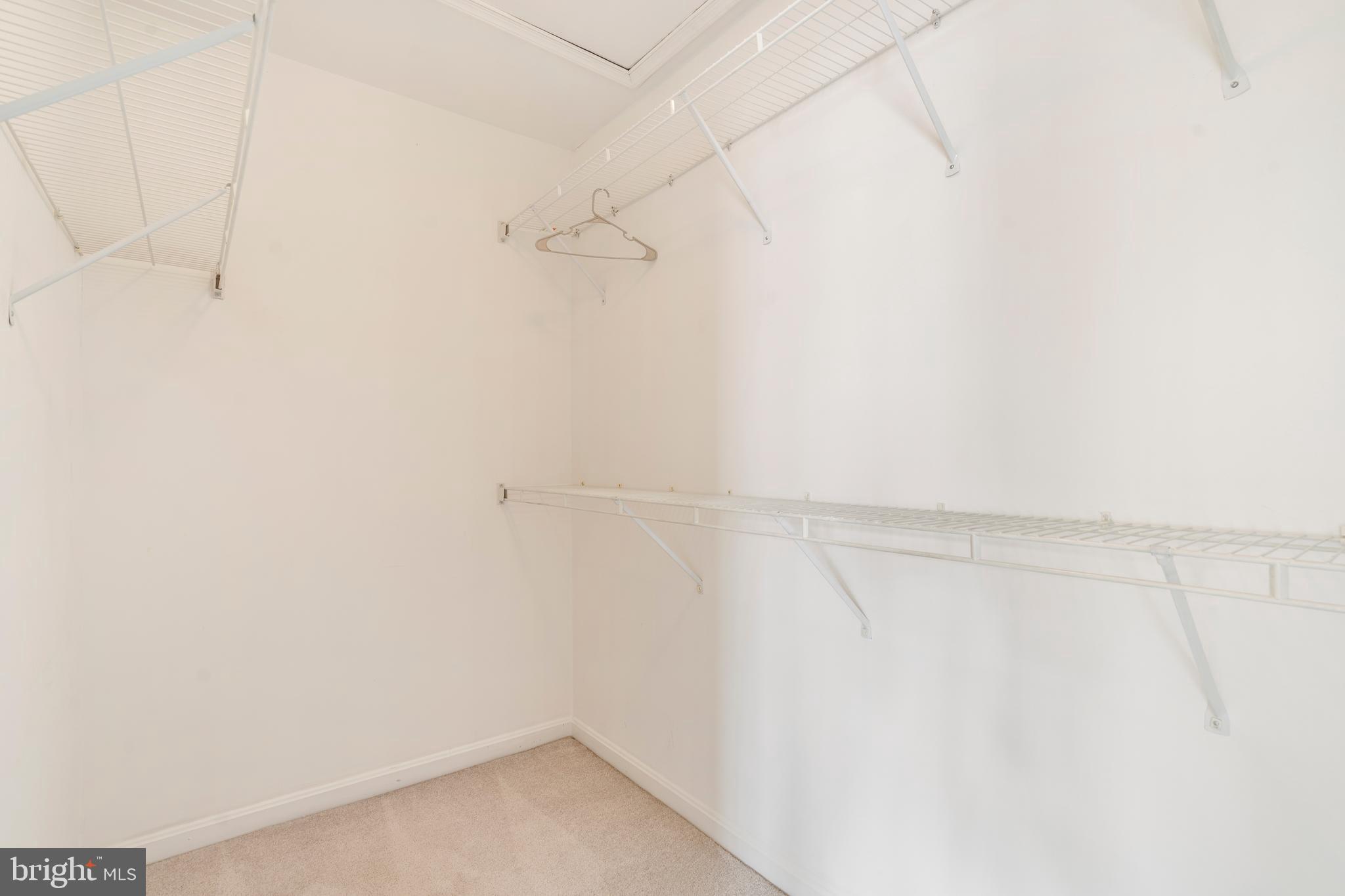 22466 Maison Carree Square Ashburn, VA 20148 - Photo 20 of 42 Master Walkin closet