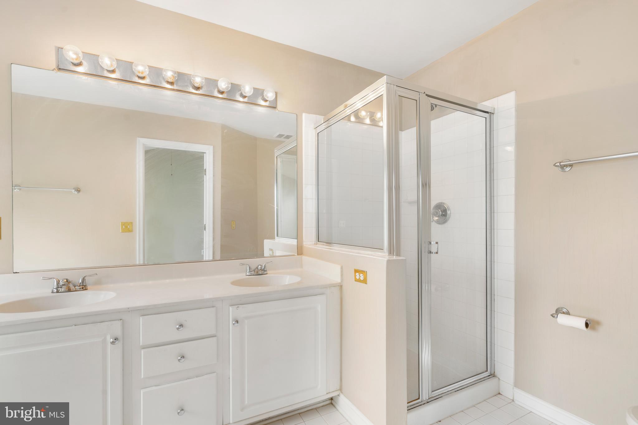 22466 Maison Carree Square Ashburn, VA 20148 - Photo 22 of 42 Master Bathroom View#2