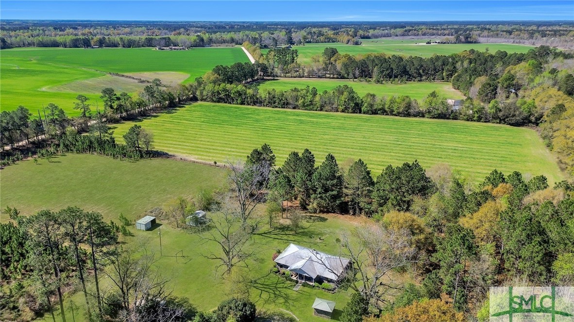 1250 Pless Clifton Road Brooklet, GA 30415 - Photo 35 of 36 Aerial view of entire property