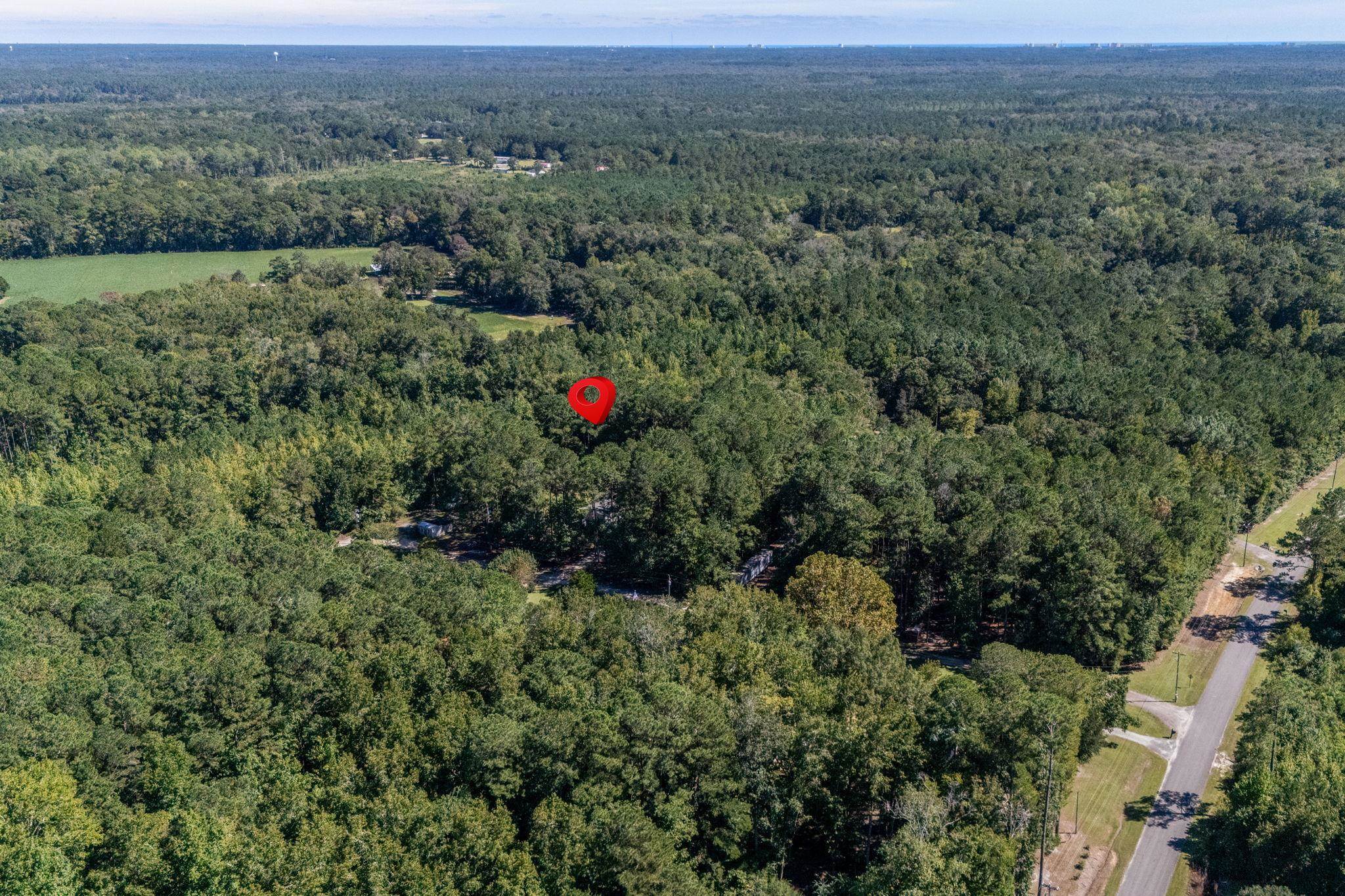 245 Bear Grass Road East Longs, SC 29568 - Photo 66 of 68 Gallery Image 66