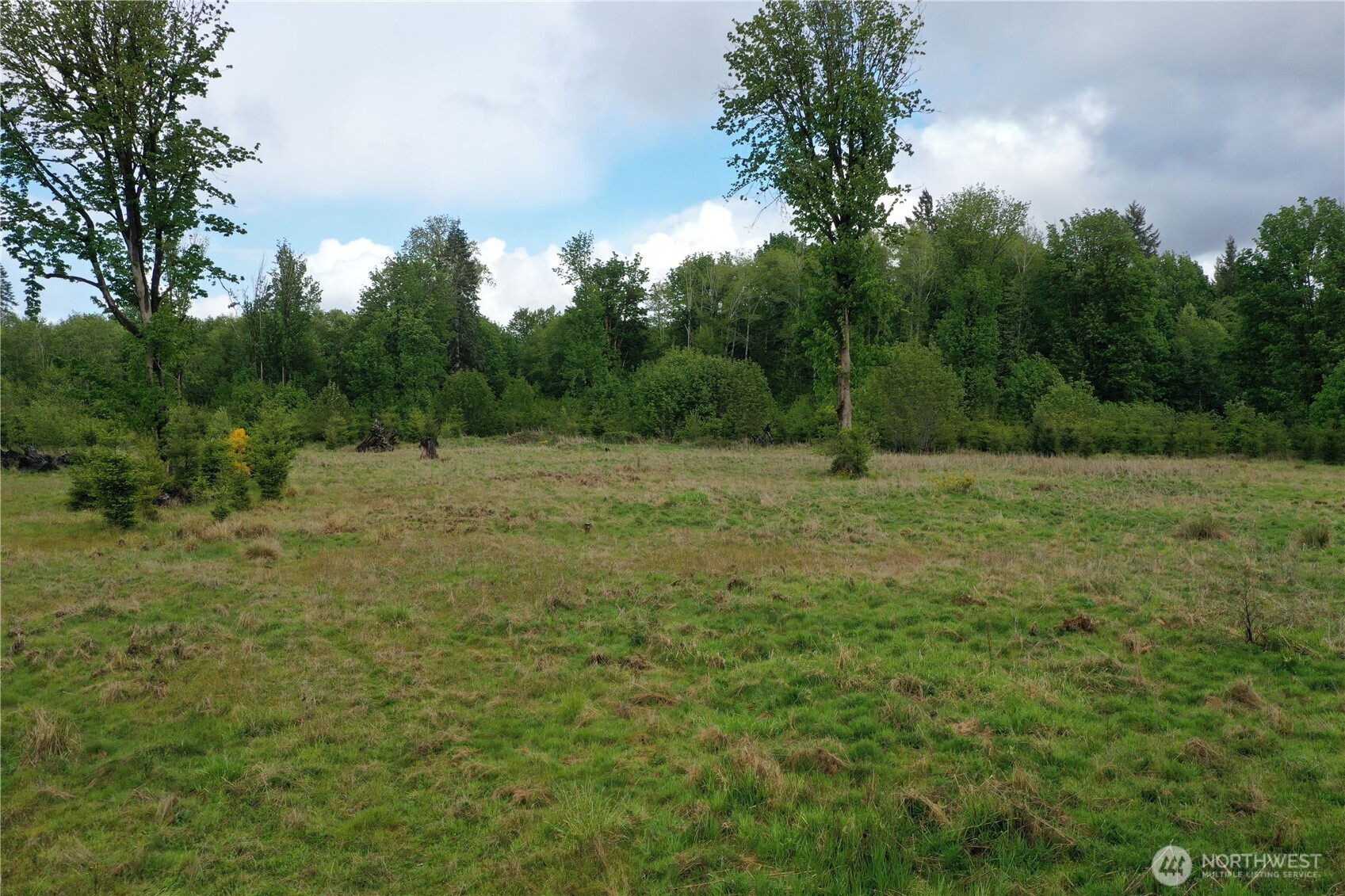 670 West Maple Rock Road Matlock, WA 98560 - Photo 3 of 5