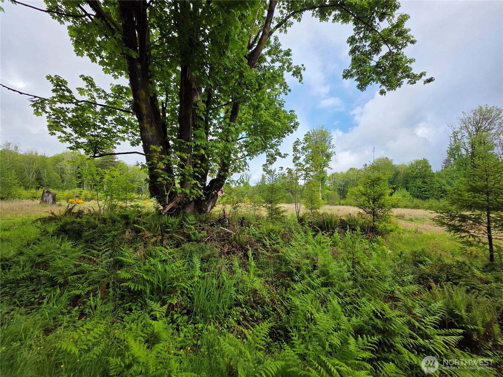 670 West Maple Rock Road Matlock, WA 98560 - Photo 4 of 5