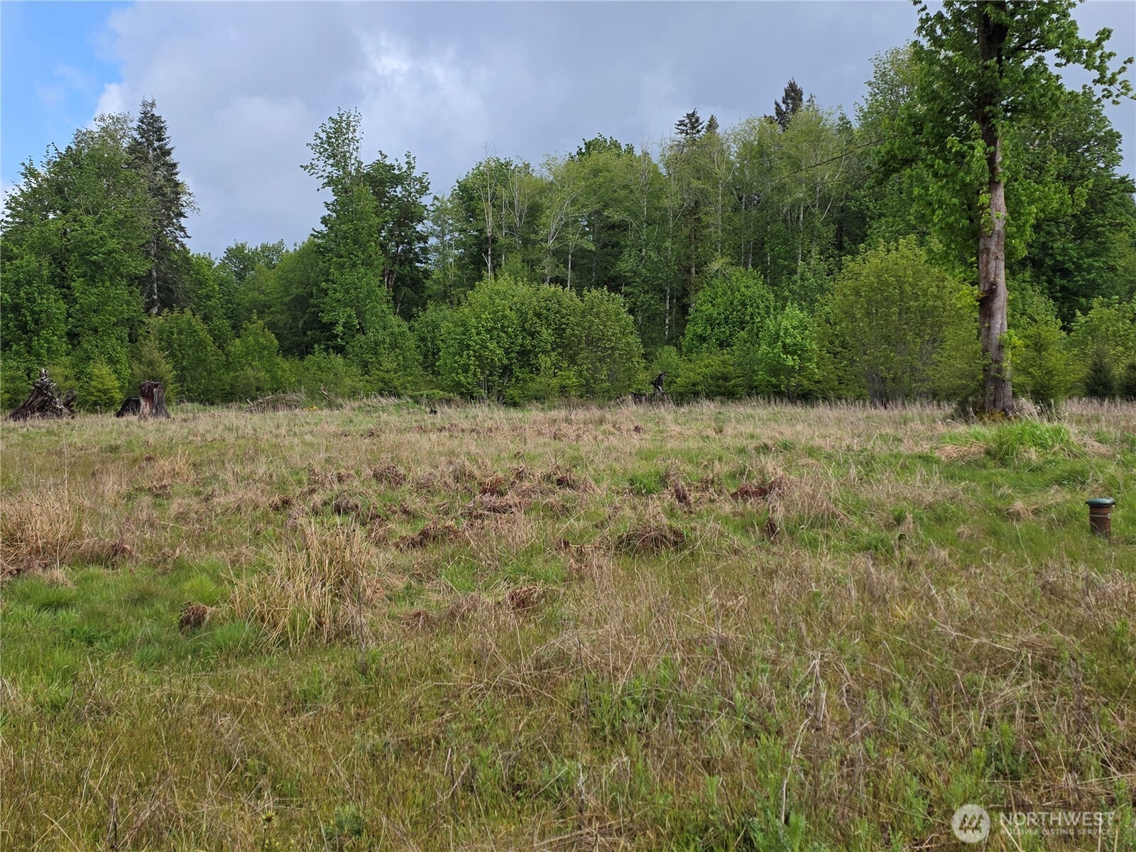 670 West Maple Rock Road Matlock, WA 98560 - Photo 5 of 5