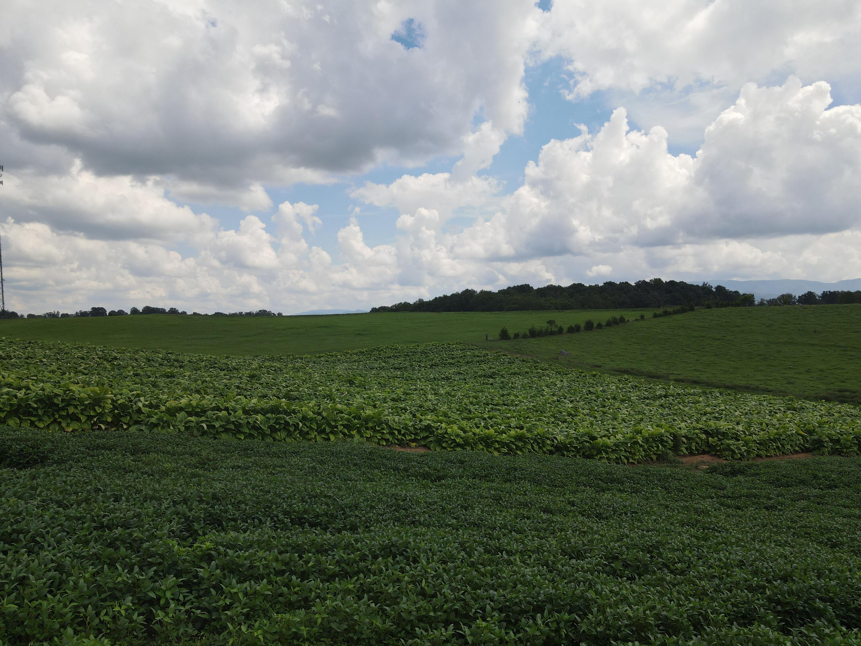 Tbd Browns Bridge Road, Unit 13 Greeneville, TN 37745 - Photo 1 of 5 DJI_0482