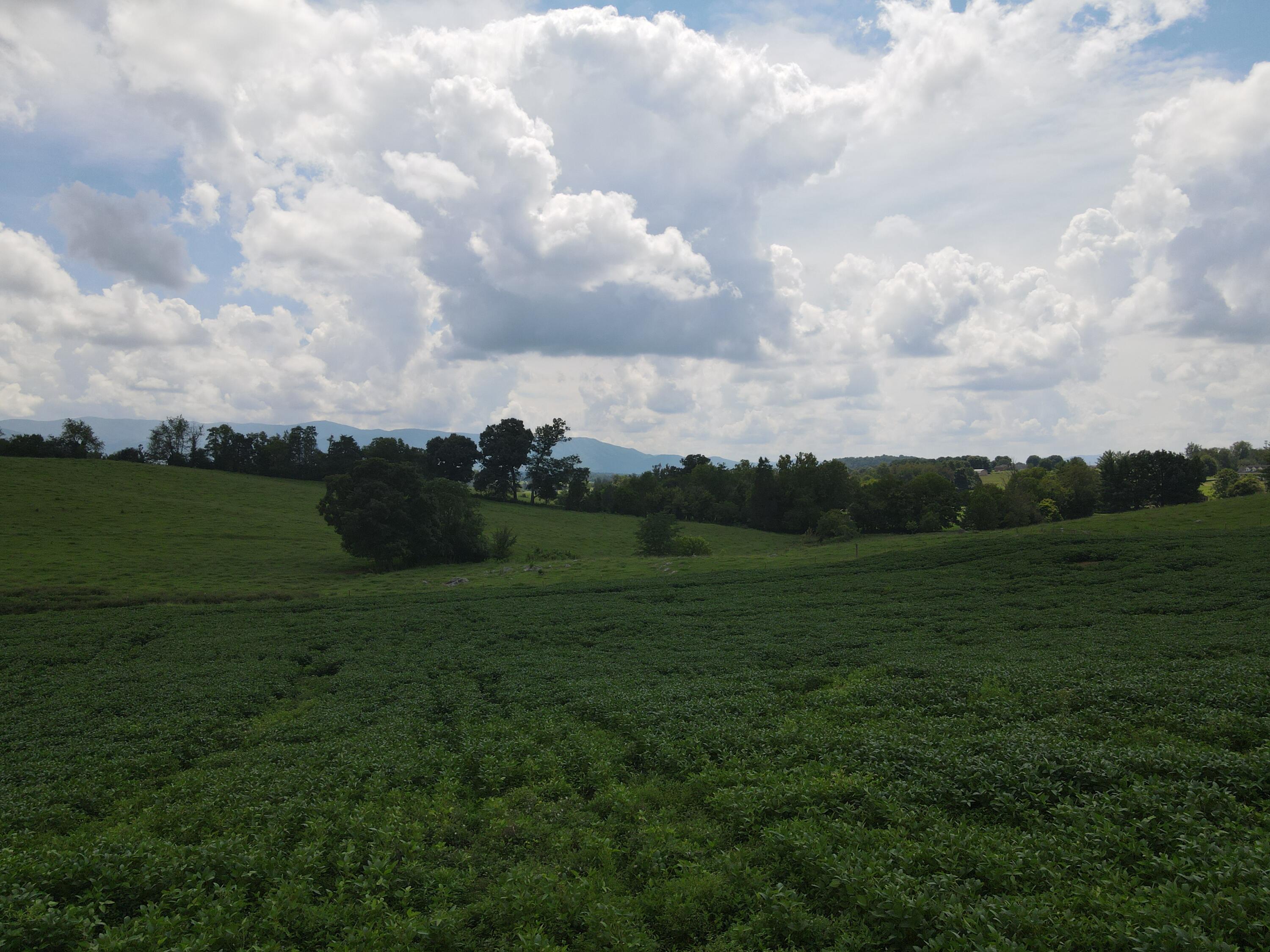 Tbd Browns Bridge Road, Unit 13 Greeneville, TN 37745 - Photo 4 of 5 DJI_0481