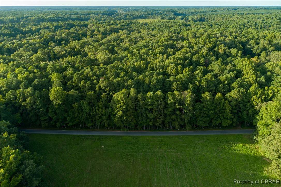 0 Island Road Gloucester, VA 23061 - Photo 8 of 25