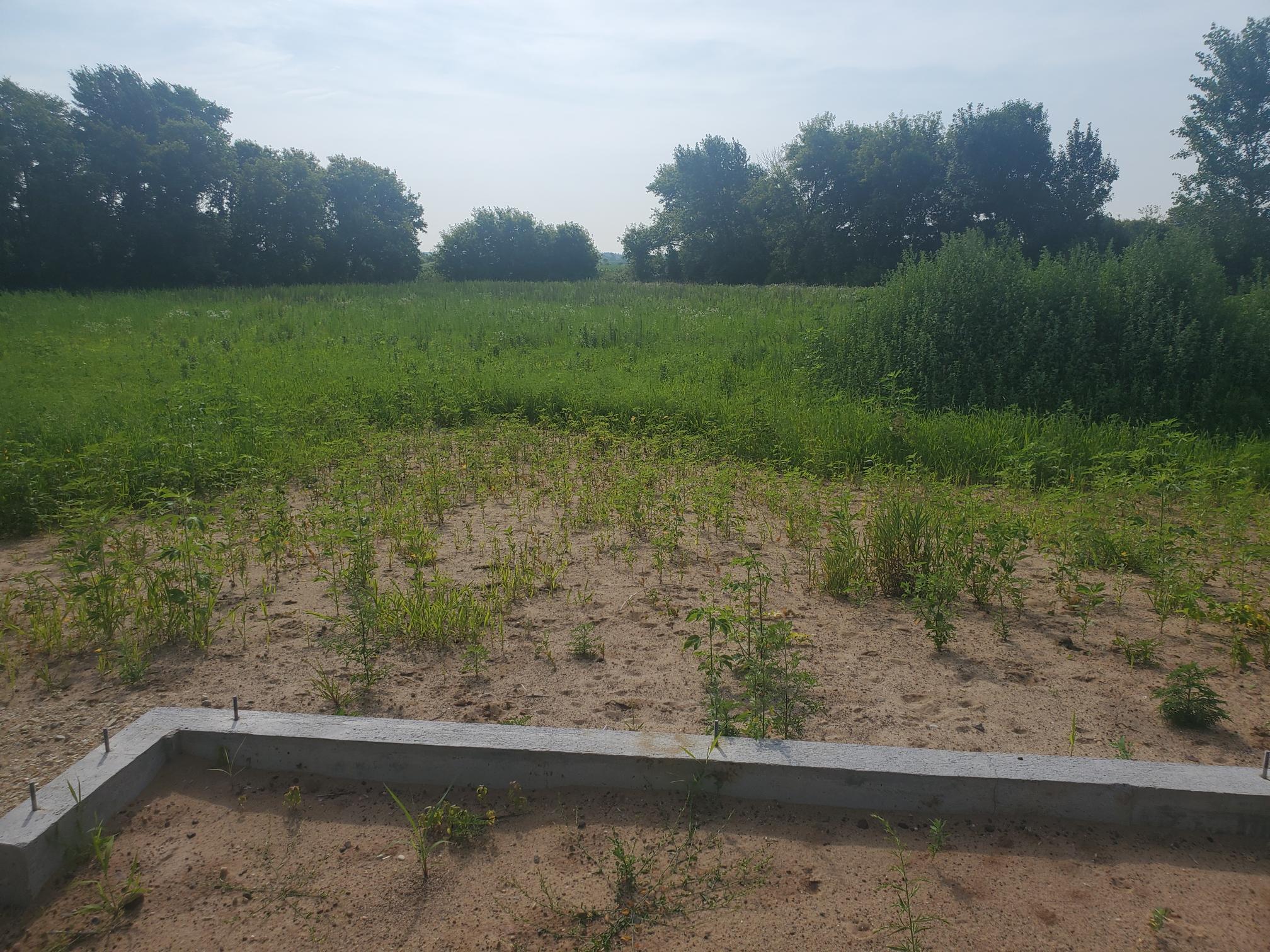 792 186th Street Hammond, WI 54015 - Photo 3 of 4