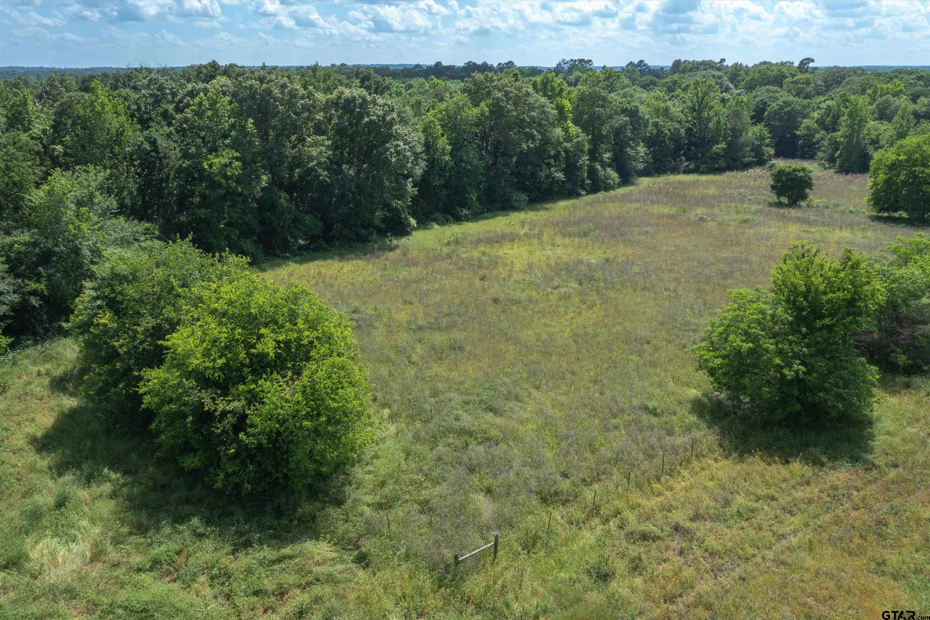 6705 Fox Road Gilmer, TX 75644 - Photo 1 of 3 a view of a backyard