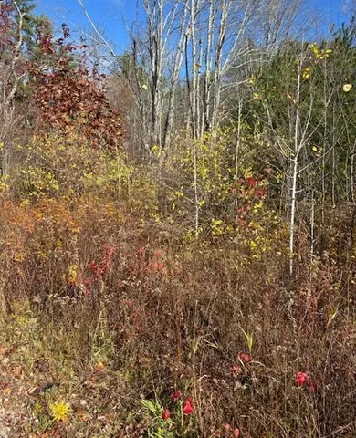 $275,000 | Tbd Log Cabin Road, Kennebunkport, ME 04046